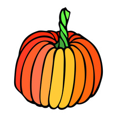 Vector hand drawn illustration of pumpkin. Isolated object on white background. Vegetable harvest clip art.  Farm market product. Elements for autumn design, decoration.