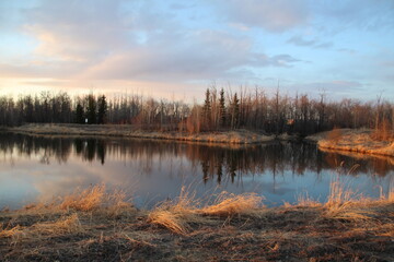 Glow On The Lake, Pylypow Wetlands, Edmonton, Alberta