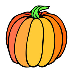 Vector hand drawn illustration of pumpkin. Isolated object on white background. Vegetable harvest clip art.  Farm market product. Elements for autumn design, decoration.