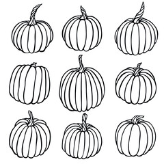 Vector hand drawn set illustration of pumpkin. Isolated object on white background. Vegetable harvest clip art.  Farm market product. Elements for autumn design, decoration.
