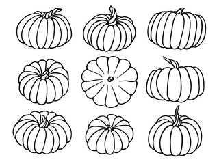 Vector hand drawn set illustration of pumpkin. Isolated object on white background. Vegetable harvest clip art.  Farm market product. Elements for autumn design, decoration.