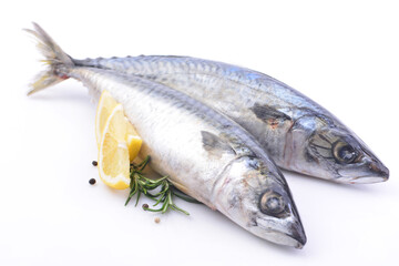 Fish mackerel on a white background