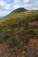 秋の篭山