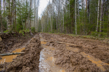 Spoiled forest road. Shooting from ground level. Mud, water, deep rut.