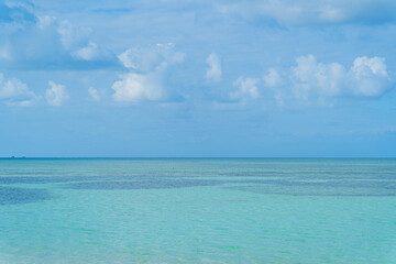 Obraz premium コンドイビーチ