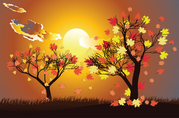 Naklejka na ściany i meble Autumn maple tree and sunset sky