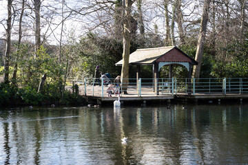 Fototapeta premium house on the river