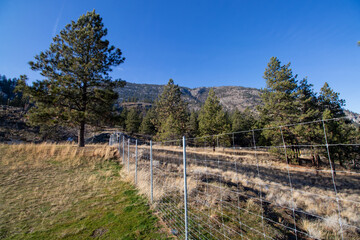 A fence in mountain park on a sunny autumn day