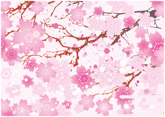 春　桜　背景
