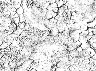 The texture of cracks. Cracked soil. Black and white vector illustration.