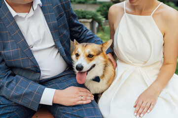 Happy bride and groom hug their corgi dog