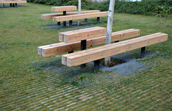 massive bench in the park under a tree in the park urban style beam shape on metal legs in the square. grass grate made of metal and concrete striped tile design with holes for soil grass turf, trunk