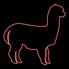 Neon alpaca red color vector illustration image flat style