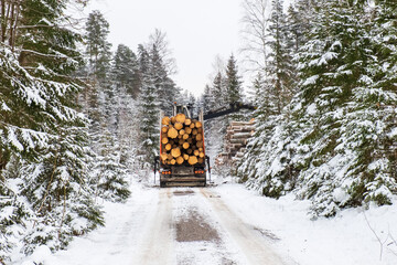 Truck loads timber on a snowy dirt road in a wintry forest