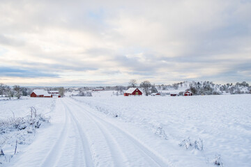 Snowy dirt road in a rural winter landscape view
