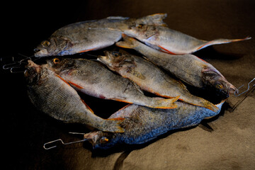 Winter perch fishing on the river, dried fish.
