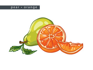 sketch_pear_orange_whole_fruit_half_and_a_slice