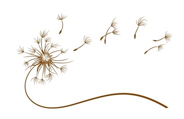 The Field dandelion flower symbol with flying seeds. - 476365304