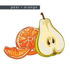 sketch_pear_orange_two_halves_of_the_fruit_and_a_slice