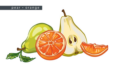 sketch_pear_orange_whole_fruit_two_halves_and_a_slice