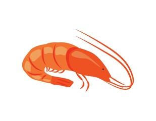 Flat style shrimp. Fresh seafood. Vector illustration for the menu of fish restaurants, for packaging in markets and shops.