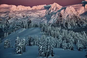 Fresh snow on mountains and alpine forest at sunset. Whistler ski resort. Blackcomb. British Columbia. Canada
