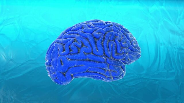 Human brain made of puzzle pieces of animation connected with a wireframe. Rotating 3D abstract art video motion with blurred ice background.