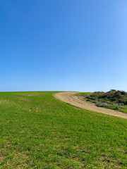 pathway in the green field, blue sky background