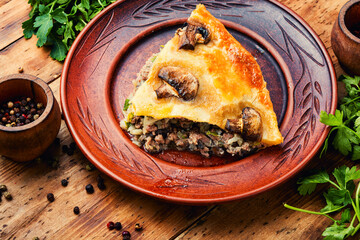 Meat pie baked with mushrooms