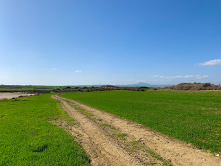 pathway in the green field, blue sky background