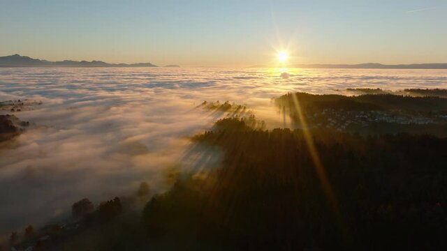 The woodlands on the Swiss Plateau not far from Savigny village and the entire Geneva Lake region under a layer of fog. Vaud Switzerland. Aerial lateral view