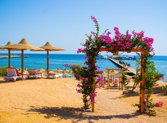 beautiful beach of Egypt overlooking the red sea. travel. recreation.