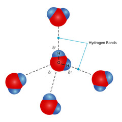 Hydrogen bonding among water molecules. H2O molecules and the arrangement of molecules in vector images, bonding electron formulas and free electrons.