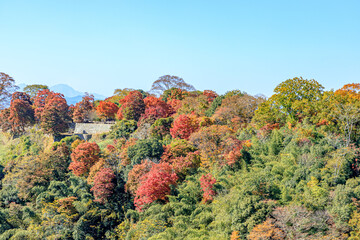 秋の岡城跡　大分県竹田市　Autumn Oka Castle Ruins. Ooita-ken Takeda city	