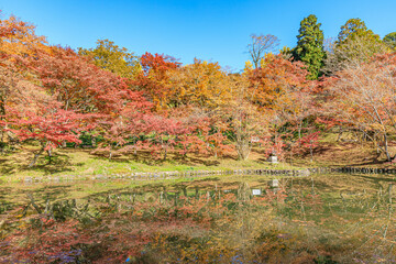 Obraz premium 秋の用作公園 大分県豊後大野市 Autumn Yujaku Park. Ooita-ken Bungoono city