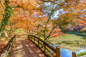 Naklejka premium 秋の用作公園 大分県豊後大野市 Autumn Yujaku Park. Ooita-ken Bungoono city