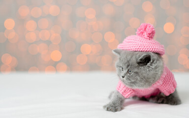 Cute kitten wearing knitted hat and sweater sits with festive background and looks away on empty space