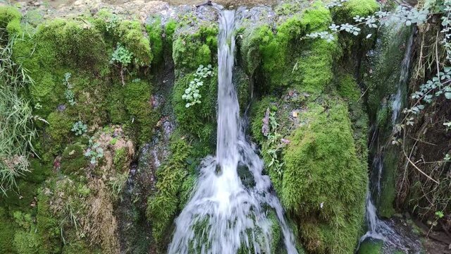 Corriente de agua y peque&ntilde;a catarata entre piedras y musgo verde