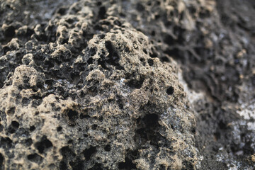 stone texture on the seashore close up