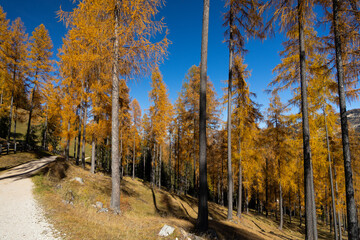 dolomites in fall