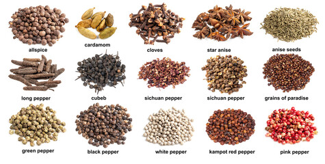 set of piles with various asian spices with names