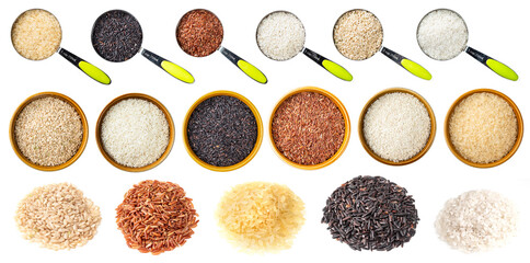set of various rice grains cutout on white