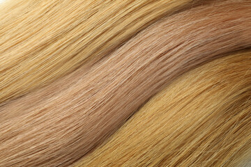 Different shade female hair on whole background