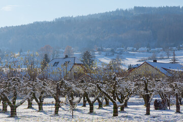 Reinach im Winter, Kanton Aargau, Schweiz