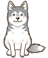 シベリアンハスキー（シルバー＆ホワイト）