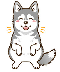 喜ぶシベリアンハスキー（シルバー＆ホワイト）