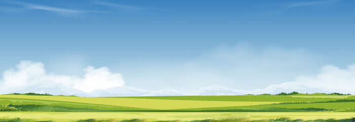 Fototapeta na wymiar Spring time,Summer landscape in village with meadow on hills,cloud and blue sky background.Panorama countryside fram field, mountain and green grass in Morning,Vector Cartoon Beautiful Nature banner
