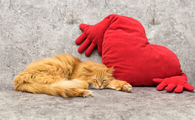 A red cat sleeps on the sofa.