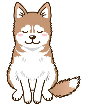 シベリアンハスキー Images Browse 295 Stock Photos Vectors And Video Adobe Stock