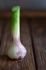 Young fresh garlic on wooden board. Vertical with copy space.